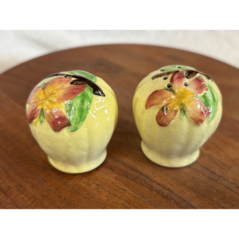 Vintage Carlton Ware Apple Blossom Salt‎ N Pepper Shakers